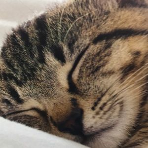 Meet your Posher, Sonia